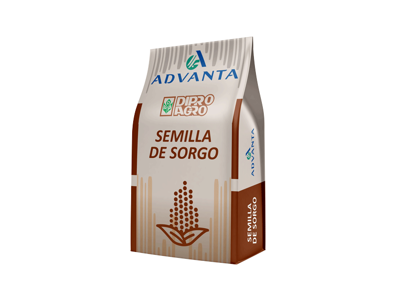 Semilla de Sorgo