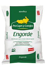 Procuyes y conejos engorde