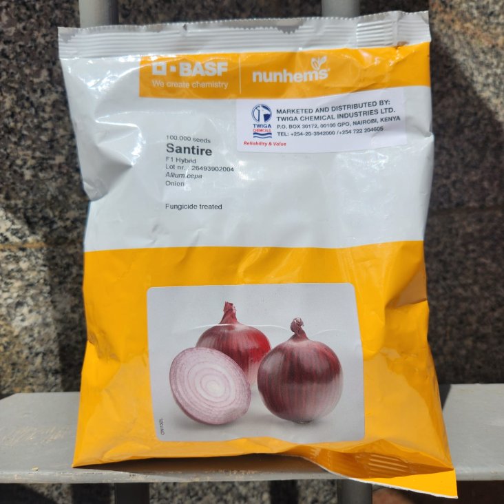 Semillas de Cebolla Hibrida