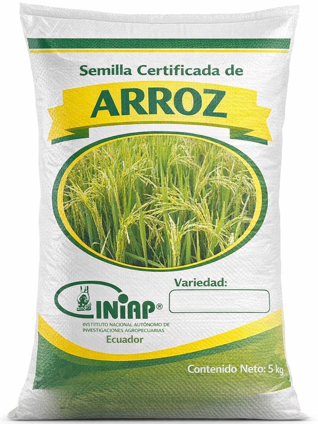 Semillas de Arroz