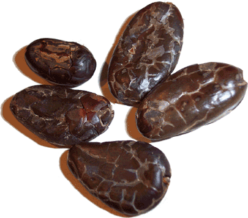 Semillas de Cacao CCN-51
