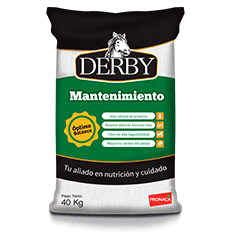 Derby mantenimiento